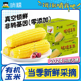 啃糯 有机黄糯玉米 220g*10棒