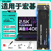 CHUJI 储技 适用于宏碁笔记本专用SSD固态硬盘1T PCie3.0 电脑掠夺者NVME暗影骑士擎 M.2接口 128G