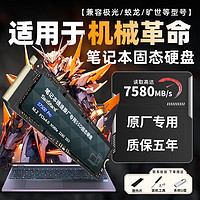 Shanli 闪立 适用于机械革命笔记本专用SSD固态硬盘1t pcie3.0极光pro/蛟龙16固态硬盘m.2NVME 4.0-1TB 适用于机械革命硬盘7580M/S