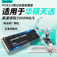 CHUJI 储技 适用于华硕天选固态硬盘1t笔记本专用2/3/4/puls/5pro加装PCIE3.0/4.0高速NVME协议SSD扩展m.2接口 天选PCIe3.0提速固态硬盘