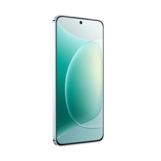 HONOR 荣耀 300 5G手机 16GB+512GB 茶卡青