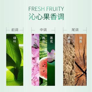 卡诗元气姜粉洗发露 80ml