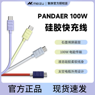  MEIZU/魅族 100W快充 手机数据线  Type-C