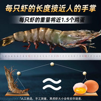 名扬湖海 黑虎虾超大海虾鲜速冻竹节虾 1000g