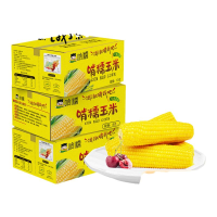 今日必买：啃糯 黄糯玉米 280g*10棒 铝箔装