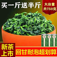 正宗铁观音清香型高山特级茶叶罐装新款散装750g