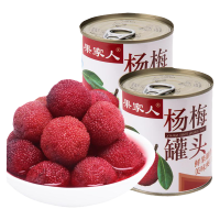 果家人 杨梅罐头 312g*2罐