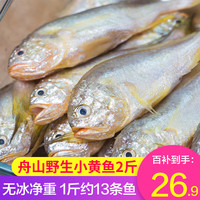 弹指鲜生舟山野生小黄鱼 约12-13条/斤 冷冻无冰黄花鱼 2斤【无冰净重】