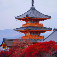 非廉航！部分可全国联运！支持阪进东出等一次游多地！上海直飞日本北海道长崎冲绳大阪福冈4-7天往返机票