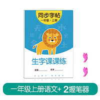 金枝叶 一年级二年级上册下册练字帖语文同步人教版临摹字帖小学生三四五六年级正楷硬笔书法字帖练字写字帖每日一练