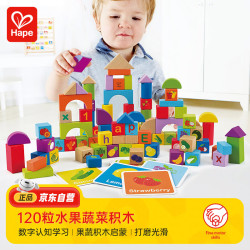 Hape 德国)积木拼搭玩具木质数字字母120粒水果蔬菜积木周岁礼物E8303
