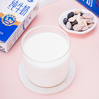 xuelan 雪兰 苗条砖全脂纯牛奶200g*12盒*2箱