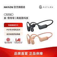 HAYLOU 嘿喽 骨传导耳机无线蓝牙耳机运动跑步挂耳防水超长续航PurFree