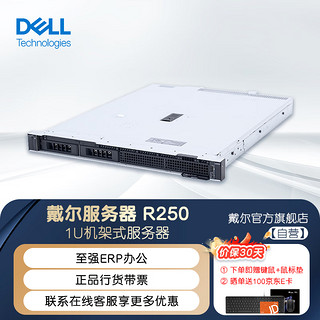 DELL 戴尔 至强E-2314四核2.8G 16G内存/1TB入门级硬盘