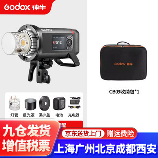 Godox 神牛 AD600Pro II二代外拍灯闪光灯TTL高速同步延时闪光蒙版 +CB09收纳包 佳能版