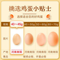 宛味宝谷物鸡蛋40枚*40g精选鸡蛋农林散养柴鸡蛋新鲜鸡蛋60g