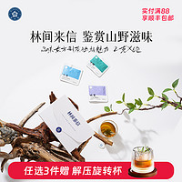 RIANTEA 林恩 林间茶信生姜茶红茶水果组合茶包花果袋泡茶女生办公室养生茶