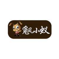 觅风小蚁