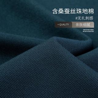 凯撒 KAISER【延续&含桑蚕丝】秋季男士商务绣花t恤男polo衫男