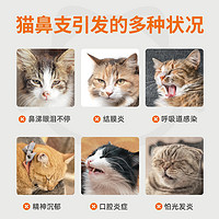 88VIP：poainta 普安特 猫鼻支赖氨酸猫胺猫咪专用感冒打喷嚏流鼻涕眼泪补充营养片