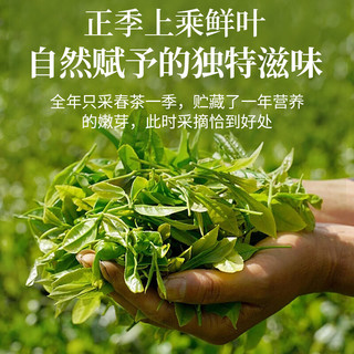 传奇会乌龙茶 武夷岩茶 肉桂 特级 中火高档茶叶送礼礼品