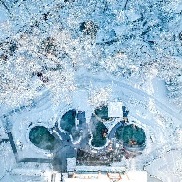 温泉、滑雪权益都包了！长白山蓝景国际生态交流中心 双床房 三号楼2晚连住套餐（含双早+双人晚餐+长白山高铁站接送等）