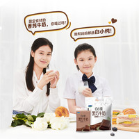 君乐宝白小纯黑巧牛奶180ml*18袋早餐营养牛奶 非整箱 45天保质期