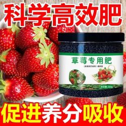 花神纪 草莓专用肥 缓控释肥料 试用款20克 草莓疯长了 送勺