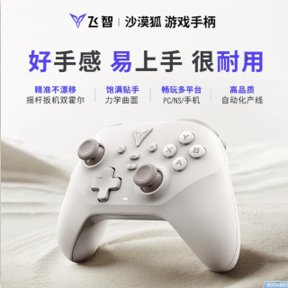 FLYDIGI 飞智 沙漠狐 多模无线游戏手柄 手柄包套装