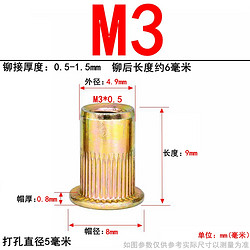 others 其他 平头拉铆螺母/