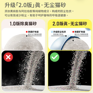 比亿奇 膨润土猫砂 无尘除臭快速结团 原味 10kg