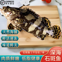 牧场君石斑鱼冷冻珍珠斑鱼龙胆老虎斑深海石斑鱼鲜活石斑鱼 净重4斤【0.9-1.2斤/条】 龙胆石斑鱼