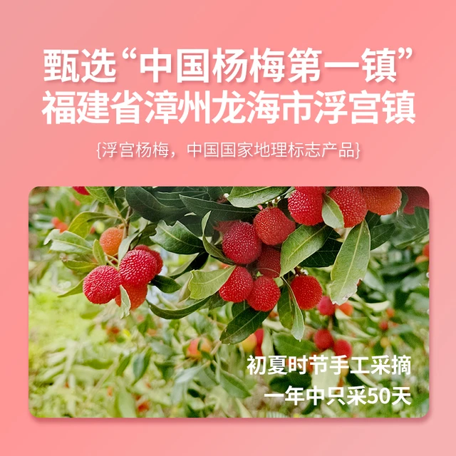 宝峰热销糖水新鲜大罐杨梅罐头850g水果罐头休闲零食彩标
