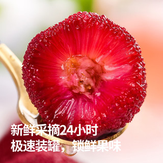 宝峰热销糖水新鲜大罐杨梅罐头850g水果罐头休闲零食彩标