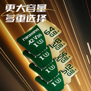 梵想（FANXIANG）256GB TF（MicroSD）存储卡 U3 V30 A2 读速175MB/s 无人机相机笔记本游戏机 4K超清连拍录制 KM3 DJI无人机卡丨读速175MB/s