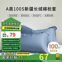 OBXO 源生活 纯棉枕头套 100支轻奢简约枕芯套 一对装  宾利蓝48*74cm