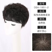 HER BEAUTIFUL SILK 黛美丝 假发片女头顶补发片假发女增发量真发隐形无痕遮盖白发直发补头顶