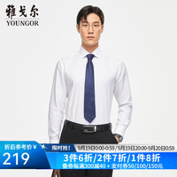 雅戈尔(YOUNGOR)长袖衬衫男DP免烫衬衫全棉面料舒适透气平整抗皱东方简奢风 VLDP170001BBA