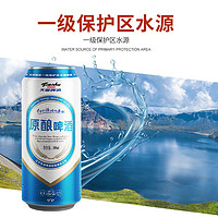 88VIP：tianhu 天湖啤酒 天湖9度原酿啤酒 500ml*12听