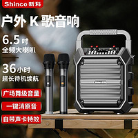 Shinco 新科 X17广场舞音响蓝牙低音炮带话筒便携音量户外超重k歌一体机家