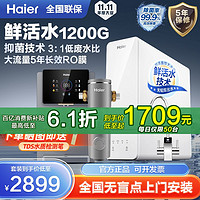 百亿补贴：Haier 海尔 净水器家用鲜活水大通量RO反渗透双出水自来水过滤直饮1200G