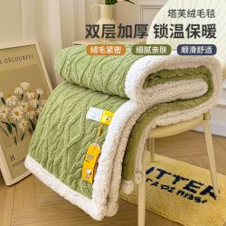 SNOOPY 史努比 100*150cm【双层加厚】史努比秋冬双面绒加厚羊羔绒毛毯