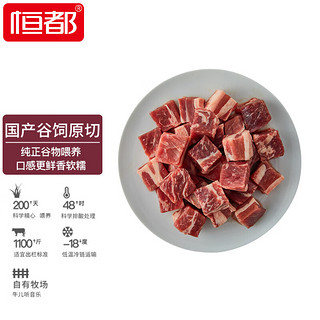 HONDO 恒都 精选牛腩块 500g