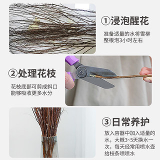 开时果 雪柳鲜切干支鲜枝遇水开花 水培绿植物耐寒花卉盆栽源头直发 【60cm】雪柳20支 不含盆