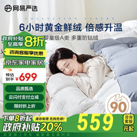 网易严选被羽绒被子A类静音抗菌 秋冬被1.5米床适用2*2.3m