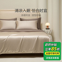 southbedding 南方寝饰 100%莱赛尔高端天丝四件套清凉丝滑轻奢纯色床单透气套件