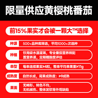 一颗大黄串樱桃番茄198g*4盒酸甜爆汁现采现摘