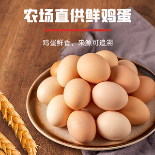 徐福记沙琪玛全蛋礼盒萨其马饼干糕点营养早餐点心零食年货礼盒 徐福记沙琪玛礼盒1018g