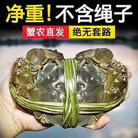 江苏洪泽湖大闸蟹  公5.0两/母4.0两 8只礼盒装