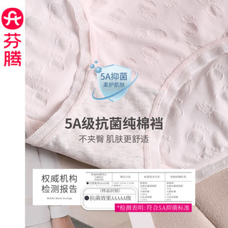 芬腾【5条装】女士内裤5A抗菌纯棉裆舒适中腰纯色透气蕾丝大码三角裤 5条 U840303组合一 L/165（105-125斤）